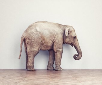 文章样式五:视频列表